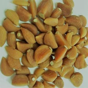 Orgaanilised küüslauguküüned