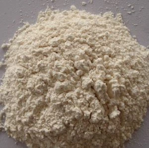 Maht orgaaniline küüslaugupulber