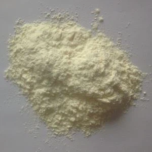 Orgaaniline küüslaugu pulber